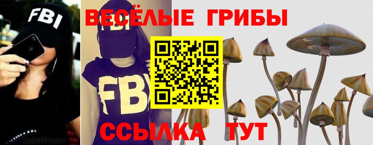 Арсеньев  Псилоцибиновые грибы GOLDEN TEACHER  Вход с VPN  Галлюциногенные грибы MAGIC MUSHROOMS 